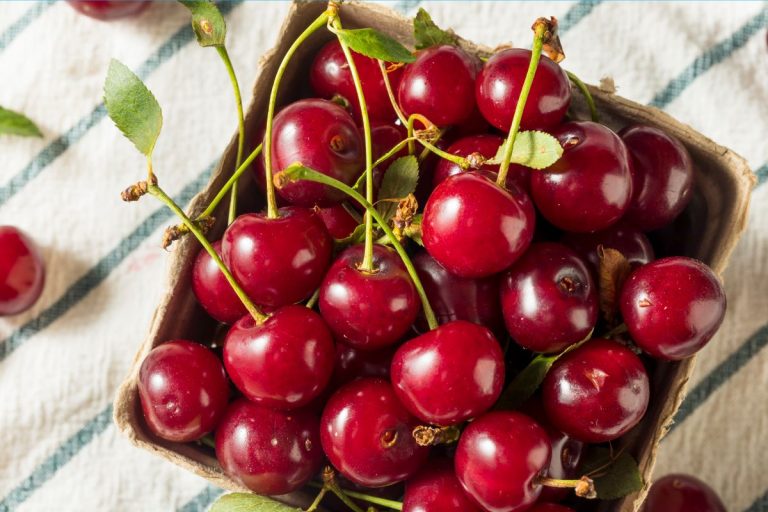 6 Best Tart Cherry Capsules For Sleep: Ultimate Guide (2024 Updated)